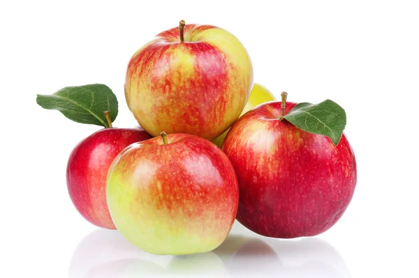 新鲜的苹果 — 图库照片