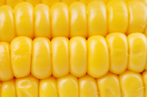 Świeża kukurydza — Zdjęcie stockowe