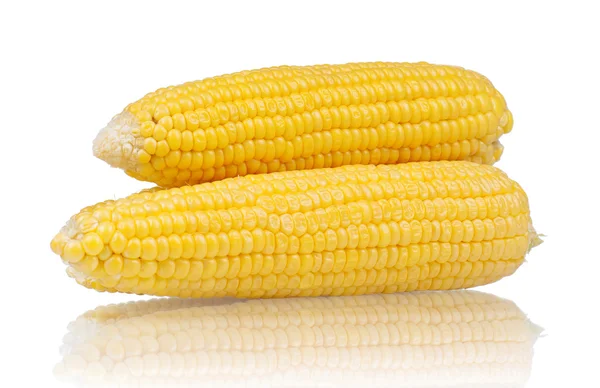 新鲜玉米 — 图库照片