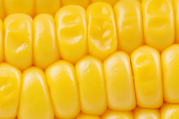 Friss kukorica — Stock Fotó