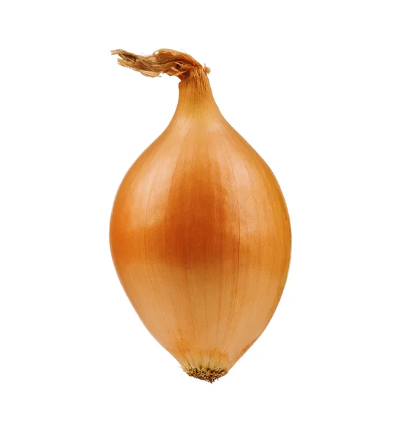 Fresh onion — Stock Photo, Image