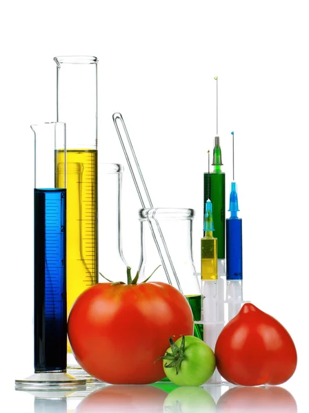 Genetiskt modifierad organism — Stockfoto
