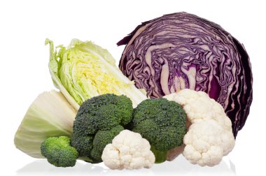 Fresh cabbage clipart