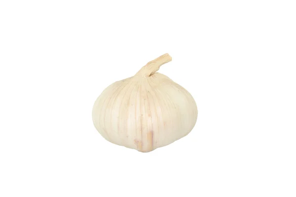 stock image Garlic