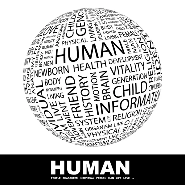 HUMAN. Globe with different association terms. — Stock Vector