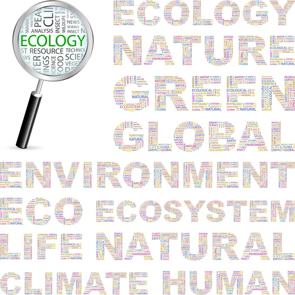 L'écologie. Collage de mots sur fond blanc . — Image vectorielle