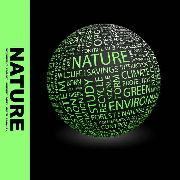 La nature. Globe avec différents termes d'association . — Image vectorielle