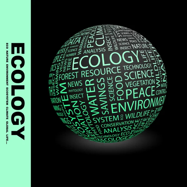 Ekoloji. dünyanın farklı ilişkilendirme terimleri. — Stok Vektör