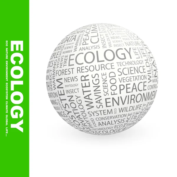 生態学。世界中の異なる関連用語. — ストックベクタ