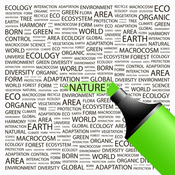 La nature. Mettre en évidence sur fond avec différents termes d'association . — Image vectorielle