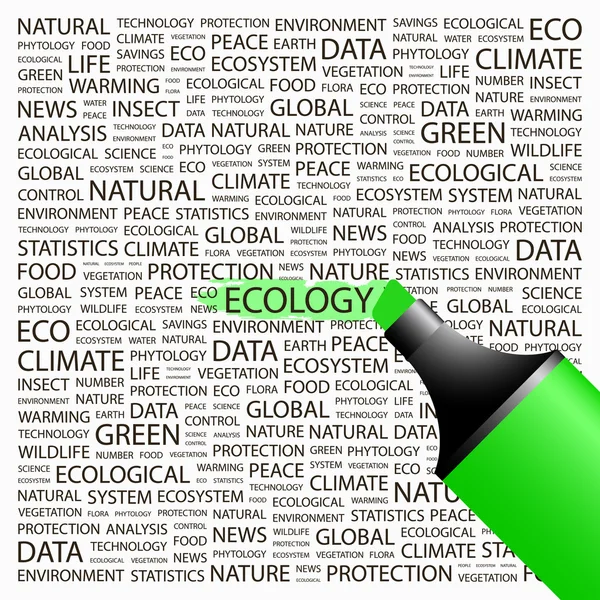 Ecology.word Collage auf weißem Hintergrund. — Stockvektor