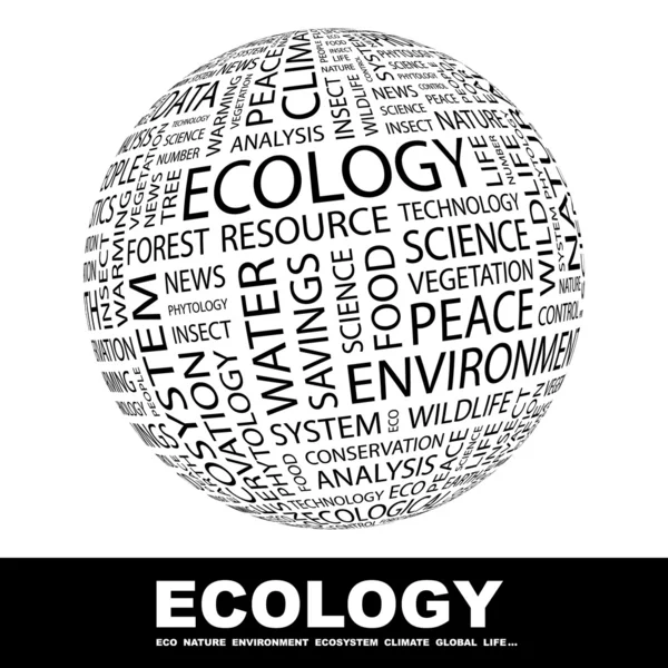 Ekoloji. dünyanın farklı ilişkilendirme terimleri. — Stok Vektör