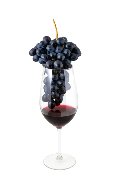 O vinho — Fotografia de Stock
