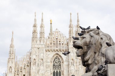 vittorio emanuele II anıtı Milano aslan