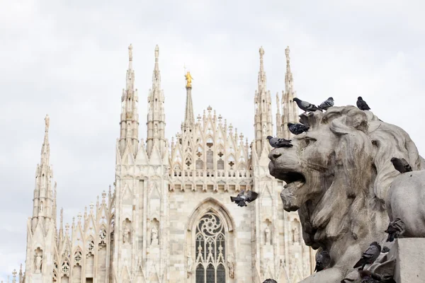 Lion of Vittorio Emanuele II monument in Milan — Stock Photo, Image