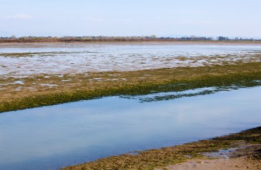 Grado lagoon