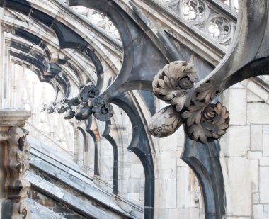 Flower sculptures, Milan cathedral clipart