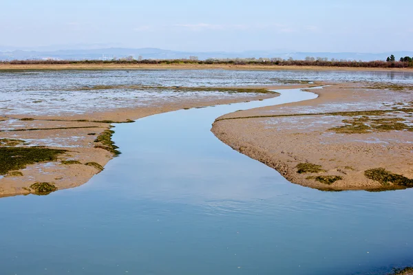 Stock image Grado lagoon