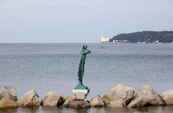 La mula de trieste - Статуя на море — стоковое фото