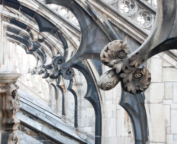 Bloem sculpturen, Milaan kathedraal — Stockfoto