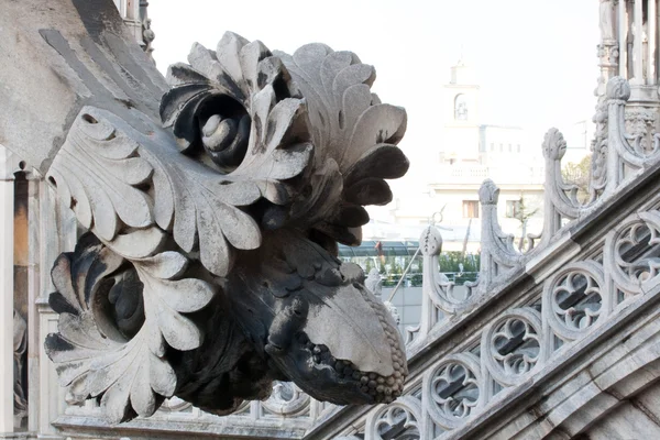 Flower sculptures, Milan cathedral — Stock Photo, Image