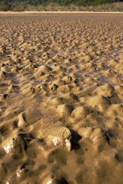 Sahara desert in Rab, Croatian island