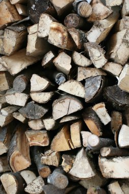 Wood logs piled