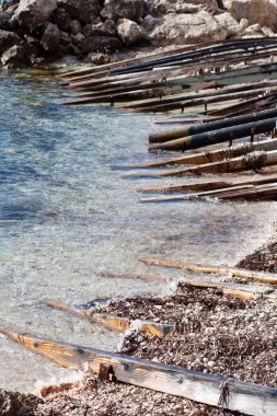 Wooden poles on the sea