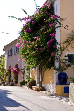 Street of Assos