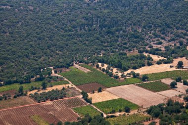 Field, Monte Enos - Kefalonia, Greece clipart