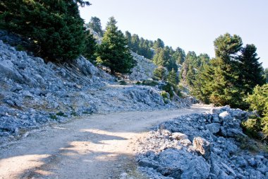 Road, Enos Mountain - Kefalonia