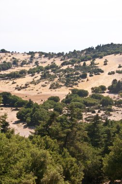 Enos mountain - Kefalonia, Greece