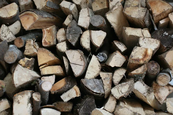 Wood logs piled — Stok fotoğraf