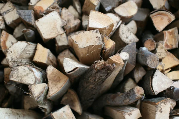 Wood logs piled — Stock Photo, Image