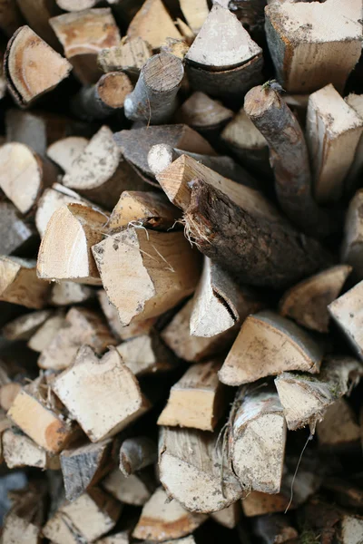 Holzstämme aufgeschichtet — Stockfoto