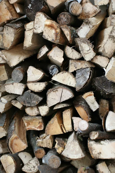 Wood logs piled — Stockfoto