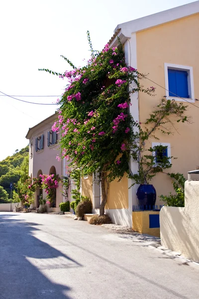 Street of Assos — Stok fotoğraf