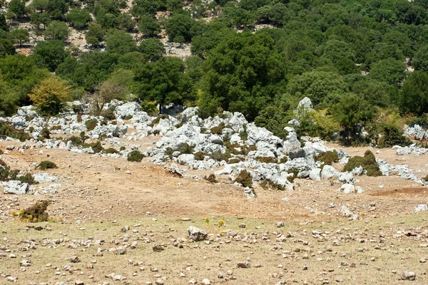 Скеля в сільській місцевості — стокове фото