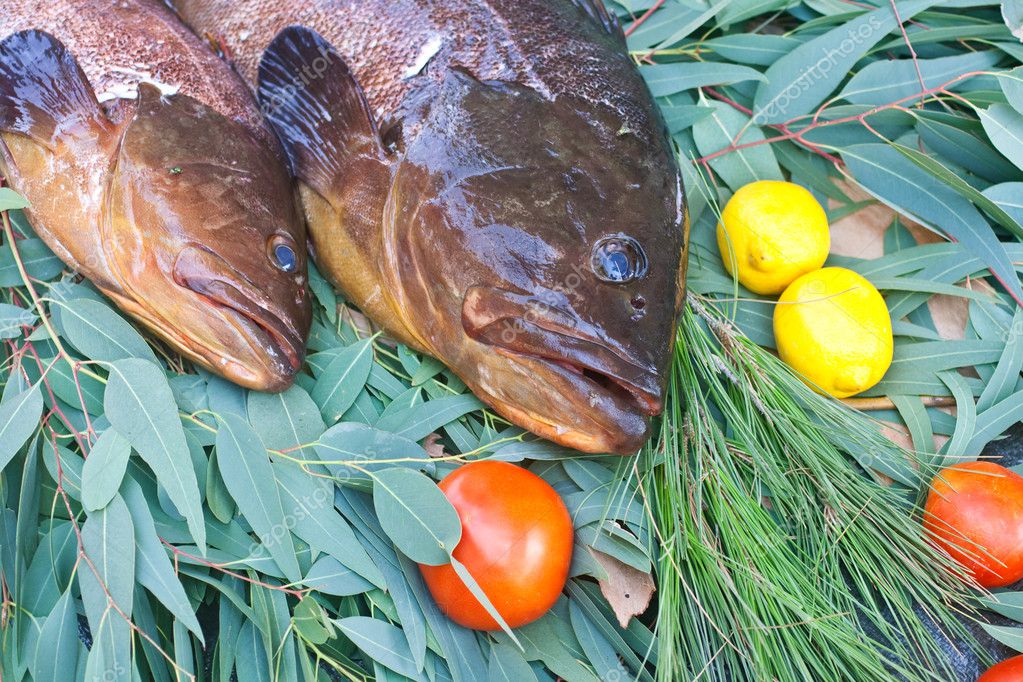 在床上的葉和果實的石斑魚– 圖庫圖片