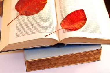 Dry leaves on a open book