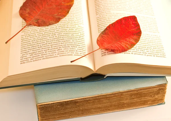 Folhas secas no livro — Fotografia de Stock