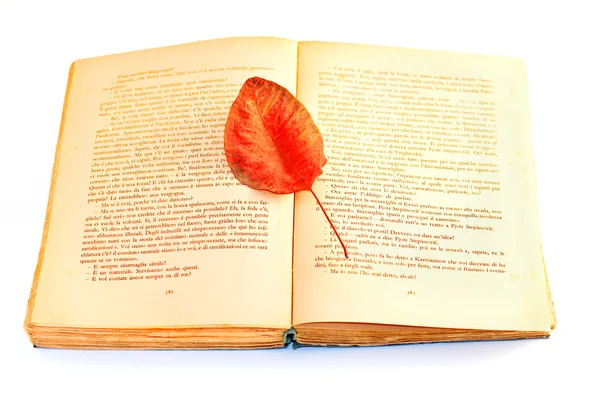Dried leaves on book — Stock Photo, Image