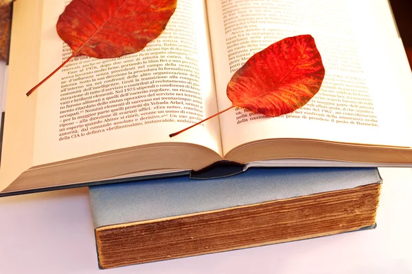 Folhas secas em um livro aberto — Fotografia de Stock