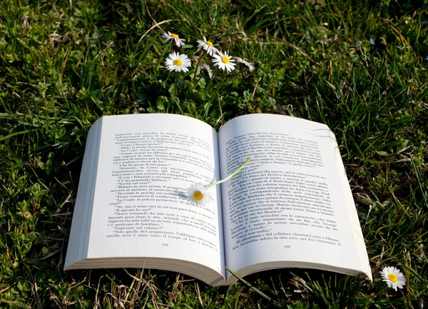 Livro na grama — Fotografia de Stock