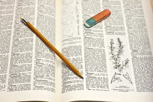 Crayon sur le dictionnaire — Photo