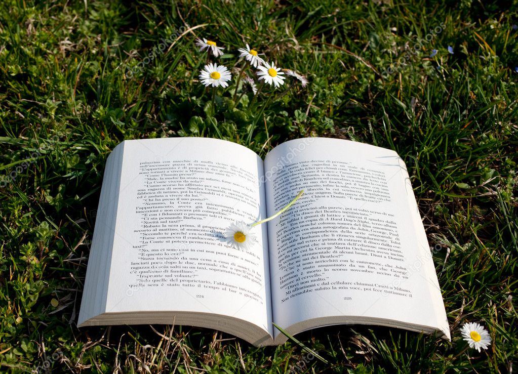 Book on grass