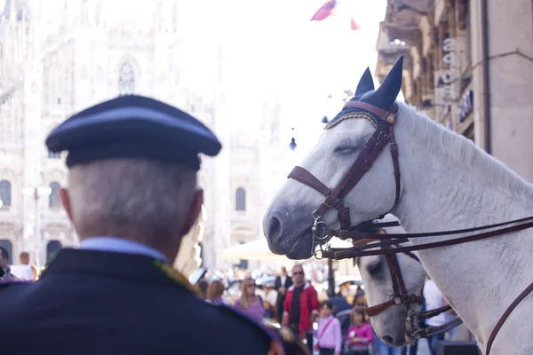 Italský policista a koně — Stock fotografie