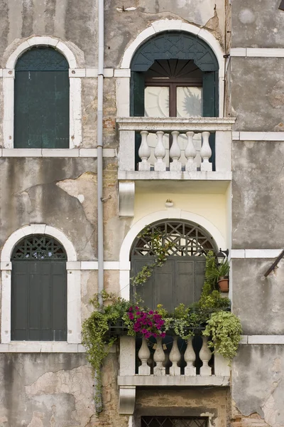 Окна Венеции — стоковое фото