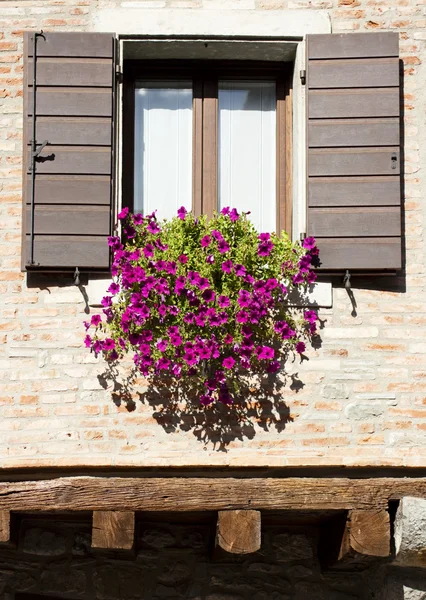 Okno z kwiatami — Zdjęcie stockowe