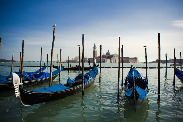 Гондоли, Венеція — стокове фото